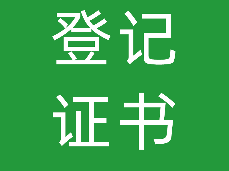 深圳金凤凰社工登记证书